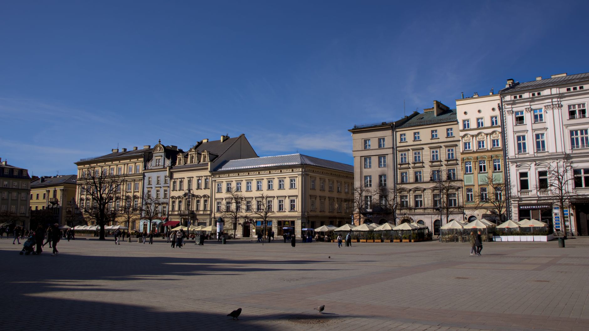 Czy warto czekać na dotacje